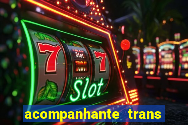 acompanhante trans baixada fluminense